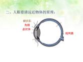 5.4 眼睛和眼镜 PPT课件