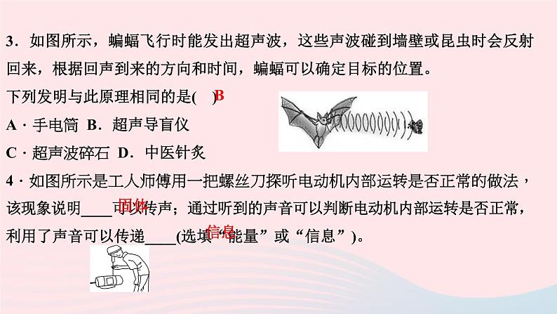 2.3 声的利用 PPT课件第3页