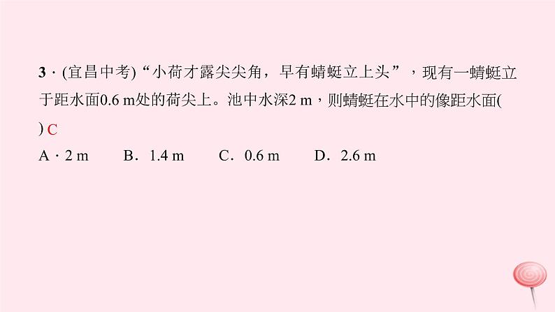 第四章：光现象 高频考点训练第4页