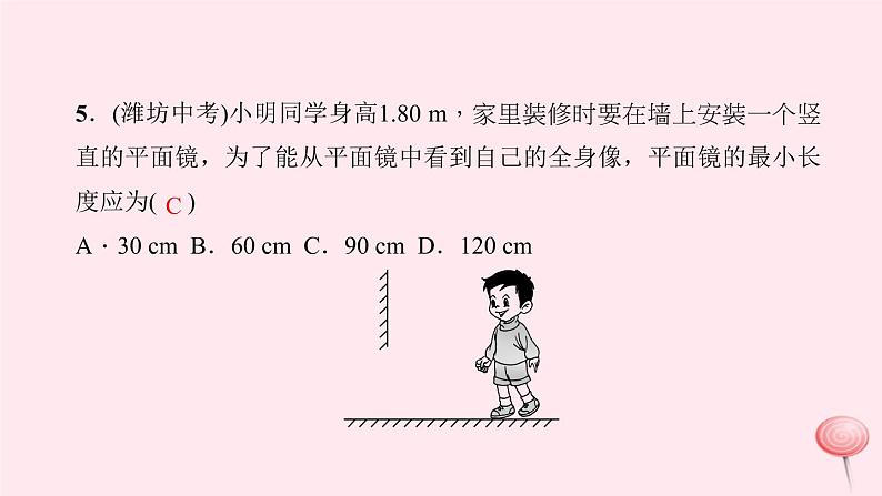 第四章：光现象 高频考点训练第6页