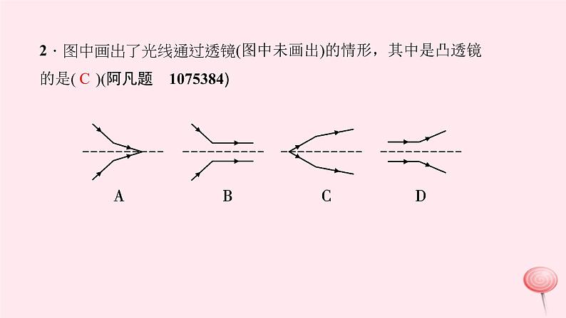 第五章 透镜及其应用 高频考点训练第3页