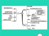 第七章 力 本章整合 课件