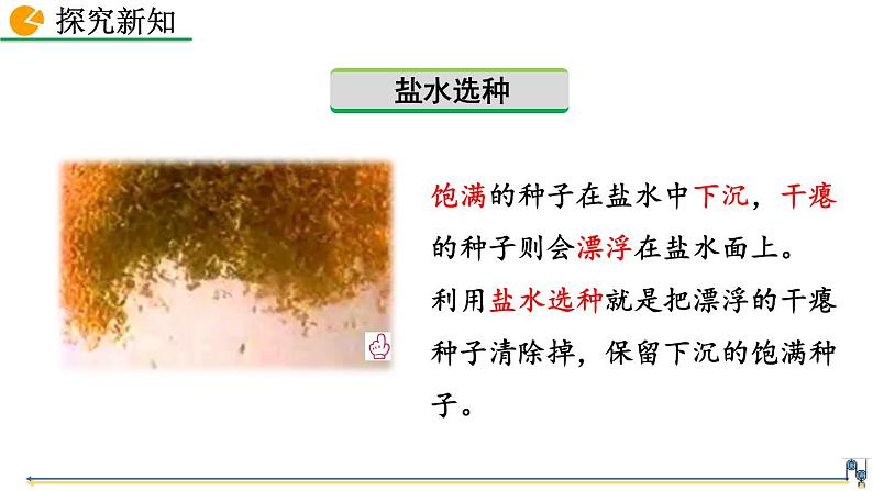 第十章 第3节  物体的浮沉条件及应用 精品课件（含视频素材）_人教物理八下07