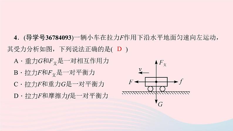 第八章 双休作业 练习课件06