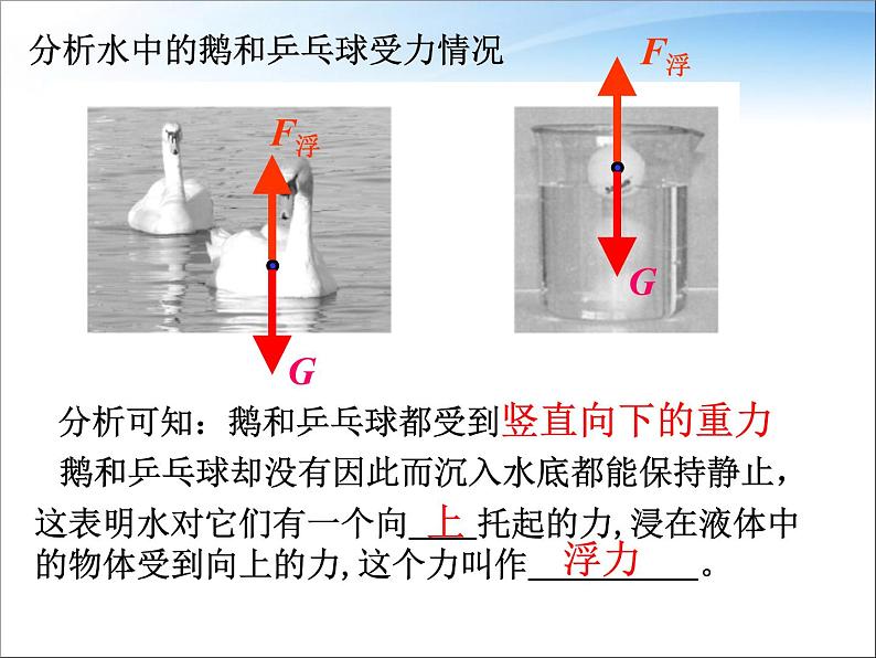 八年级下物理课件八年级下册物理课件《浮力》  人教新课标   (8)_人教新课标第5页