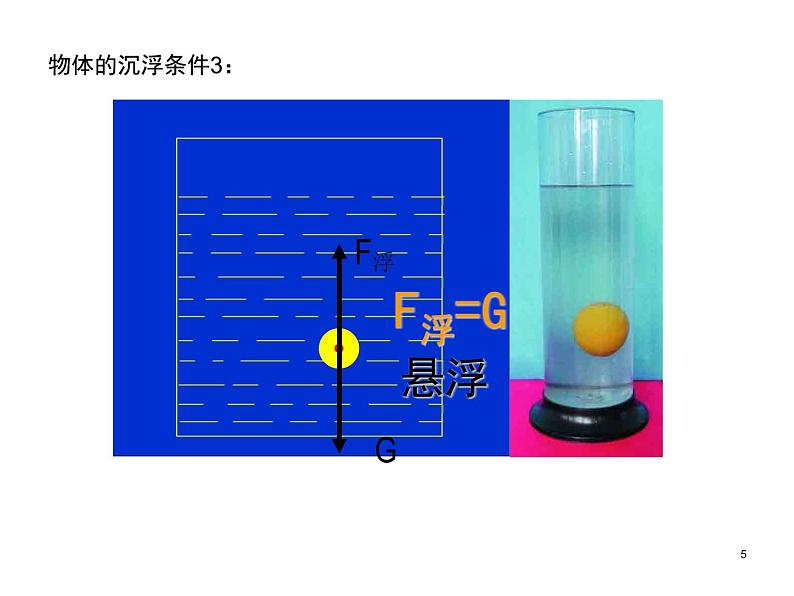 八年级下物理课件八年级下册物理课件《物体的沉浮条件及应用》  人教新课标 (5)_人教新课标第5页