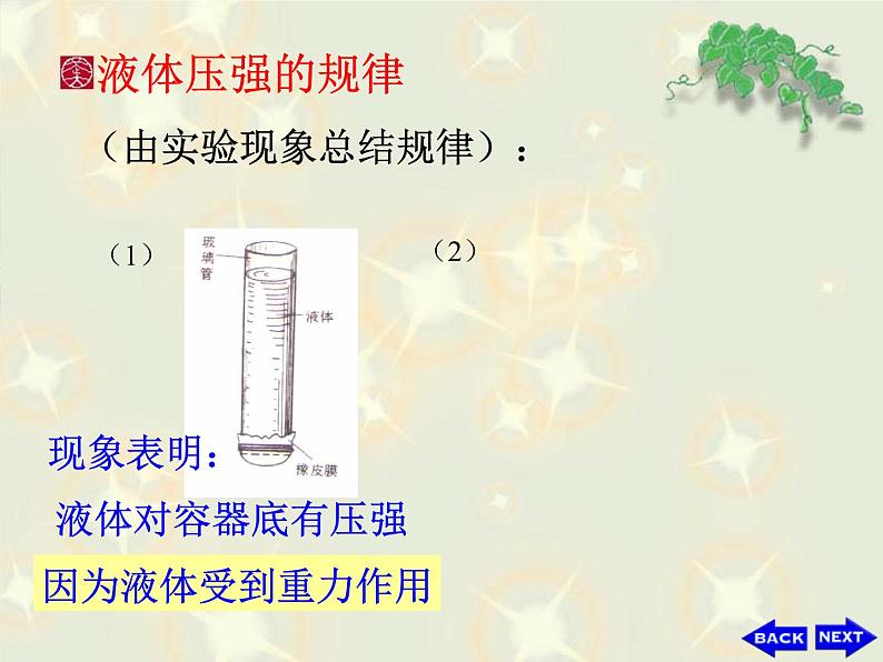 八年级下物理课件八年级下册物理课件《液体的压强》  人教新课标 (1)_人教新课标07