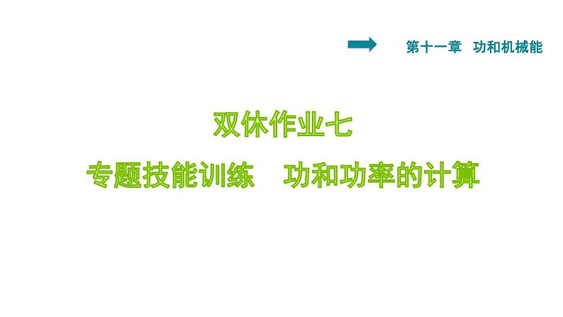 八年级下物理课件双休作业七专题技能训练1_人教新课标01