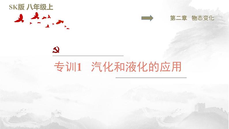 八年级上物理课件2 阶段强化专题训练（二）1_苏科版01