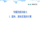 八年级下物理课件专题技能训练七 1 固体、液体压强的计算_沪粤版