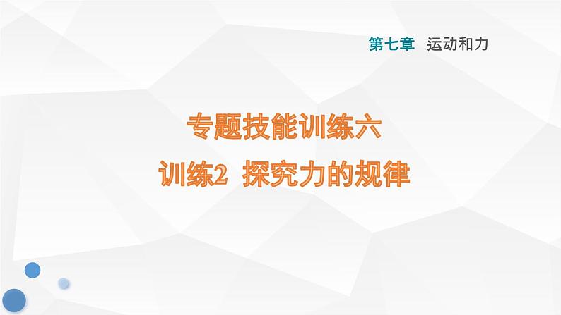 八年级下物理课件专题技能训练六  训练2  探究力的规律_沪粤版01