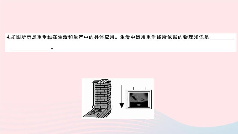 2019秋八年级物理全册第六章熟悉而陌生的力检测卷课件（新版）沪科版04