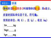 課時6.1 質(zhì)量（課件）八年級物理上冊同步備課一體化資源（人教版）
