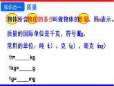 课时6.1 质量（课件）八年级物理上册同步备课一体化资源（人教版）