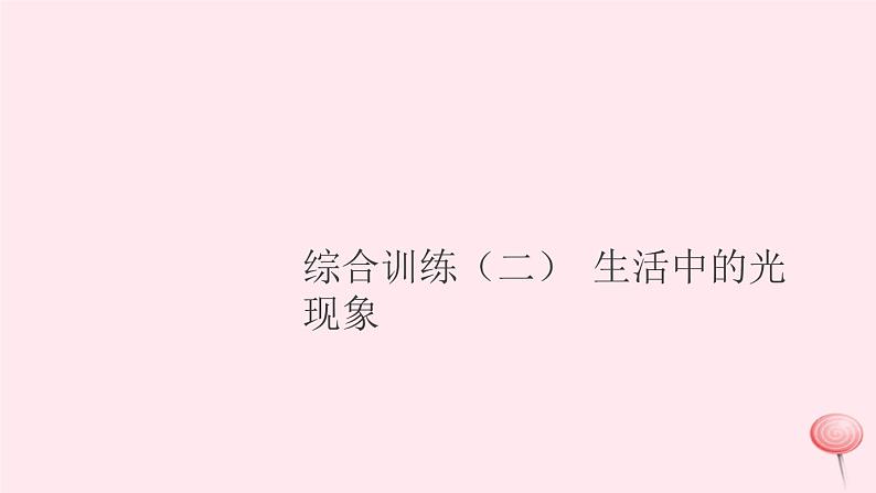 2019秋八年级物理全册综合训练（二）生活中的光现象习题课件（新版）沪科版01