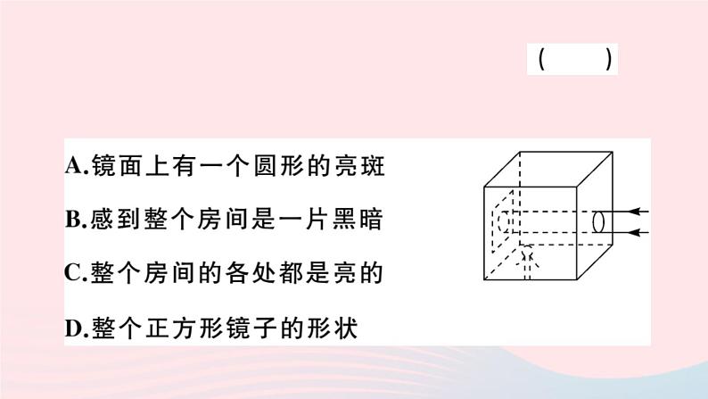 2019秋八年级物理全册综合训练（二）生活中的光现象习题课件（新版）沪科版05