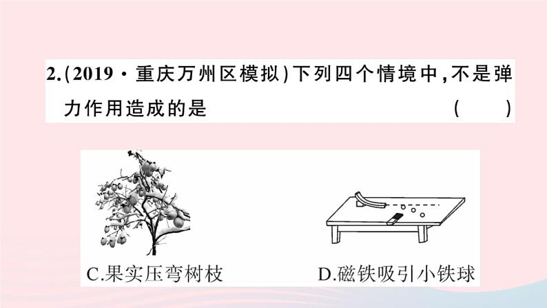 2019秋八年级物理全册第六章熟悉而陌生的力第三节弹力与弹簧测力计习题课件（新版）沪科版04