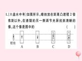 2019秋八年级物理全册专题五凸透镜成像规律的分析习题课件（新版）沪科版