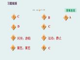 八年级全物理课件专训（一）   训练1   参照物　动与静_沪科版