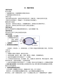 初中物理四、眼睛和眼镜教案及反思