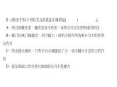 人教版八年级物理下册 7.1_力习题课件