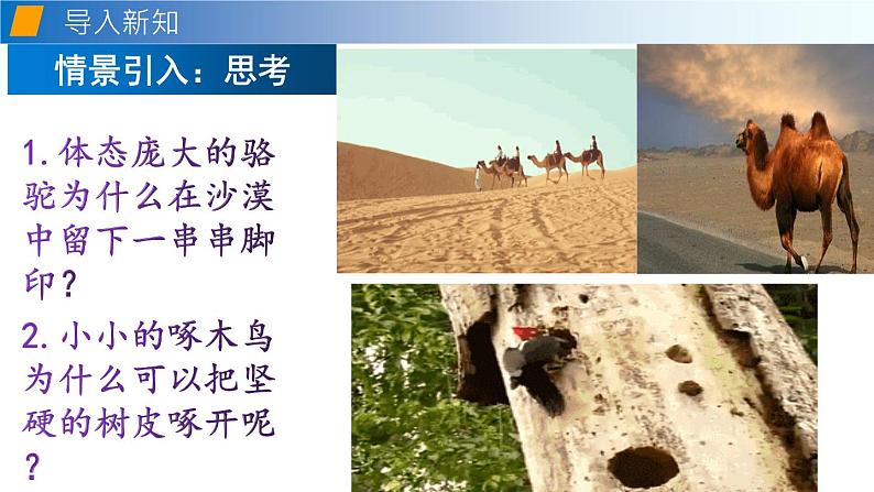 8.1压力的作用效果（备课件）-2020-2021学年八年级物理下册同步备课系列（沪科版）03