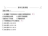 19.3 走进互联网 PPT课件_粤沪版物理九年级下册