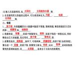 20.2 開發(fā)新能源 PPT課件_粵滬版物理九年級下冊