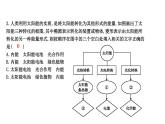 20.2 开发新能源 PPT课件_粤沪版物理九年级下册