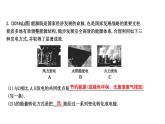 20.4 能源、環(huán)境與可持續(xù)發(fā)展 PPT課件_粵滬版物理九年級下冊