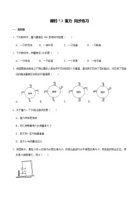 人教版八年级下册第七章 力7.3 重力精品随堂练习题