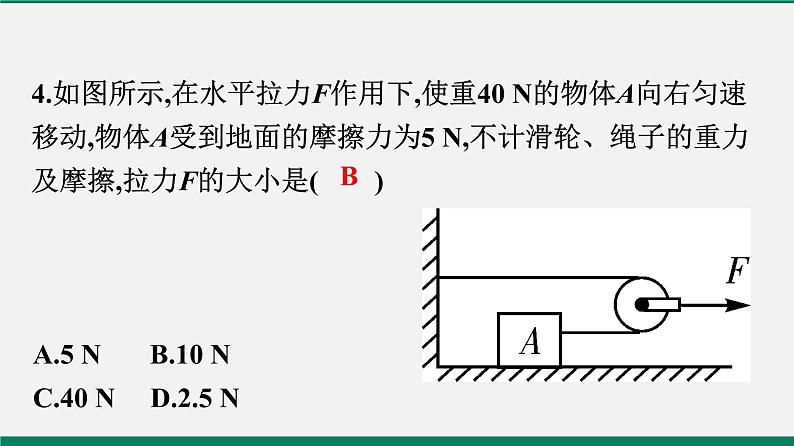 沪粤版八年物理下册课时作业 6.6　探究滑轮的作用 练习课件05