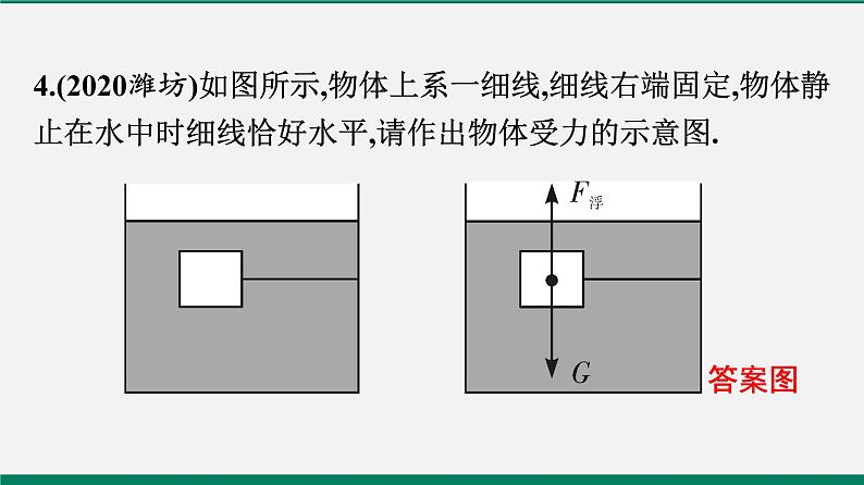 沪粤版八年级物理下册 专题一　作图题06