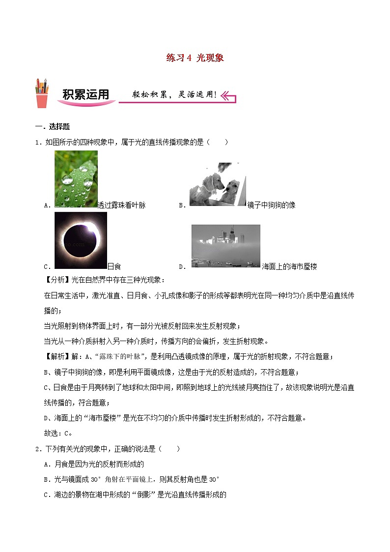 2020_2021学年八年级物理上学期寒假作业巩固练04光现象含解析沪科版01