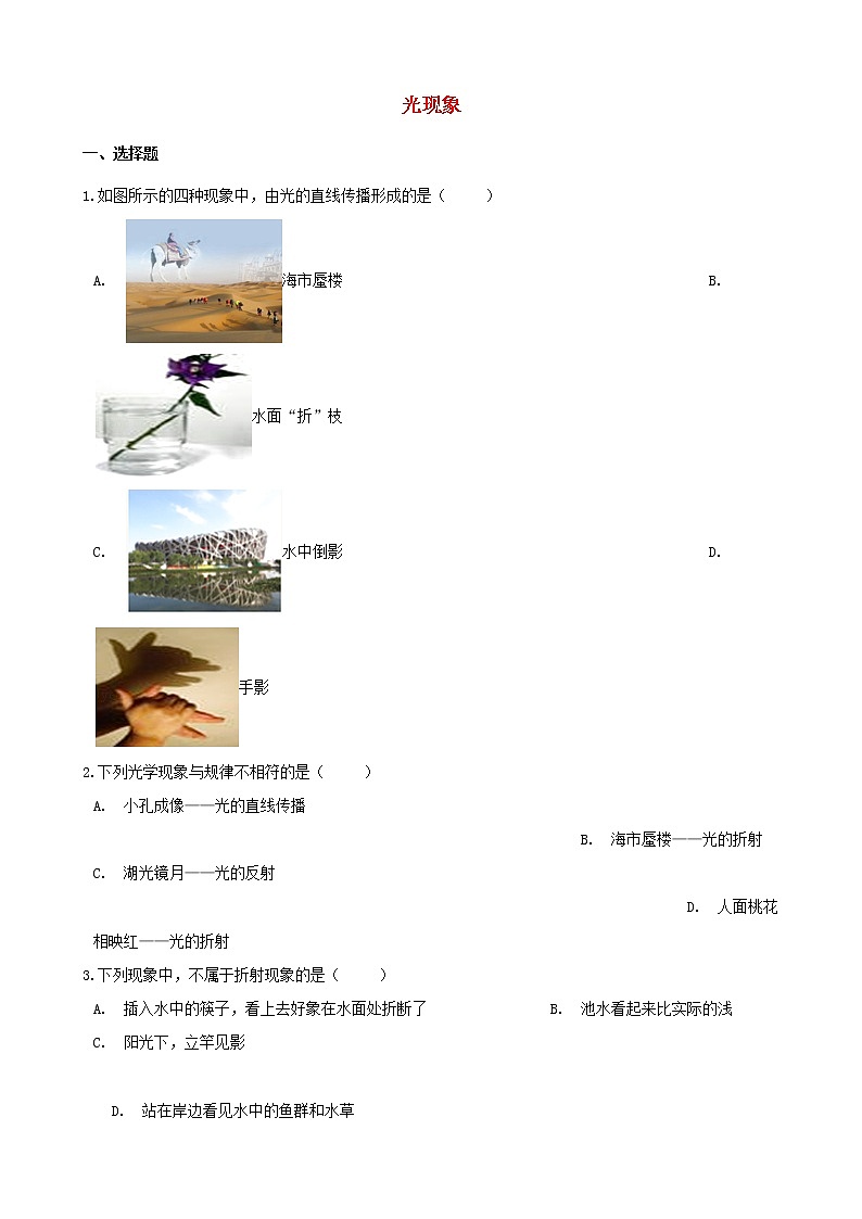 2021年中考物理必考点专项训练光现象含解析01