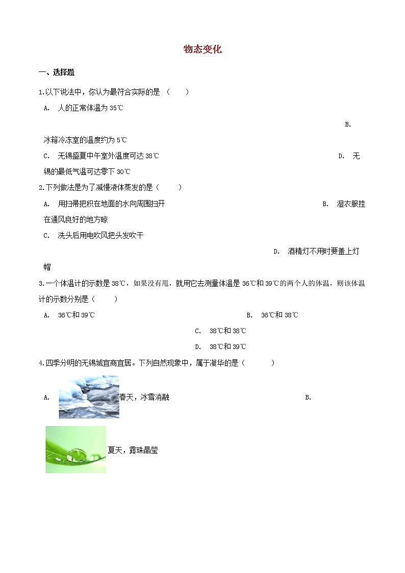 2021年中考物理必考点专项训练物态变化含解析第1页