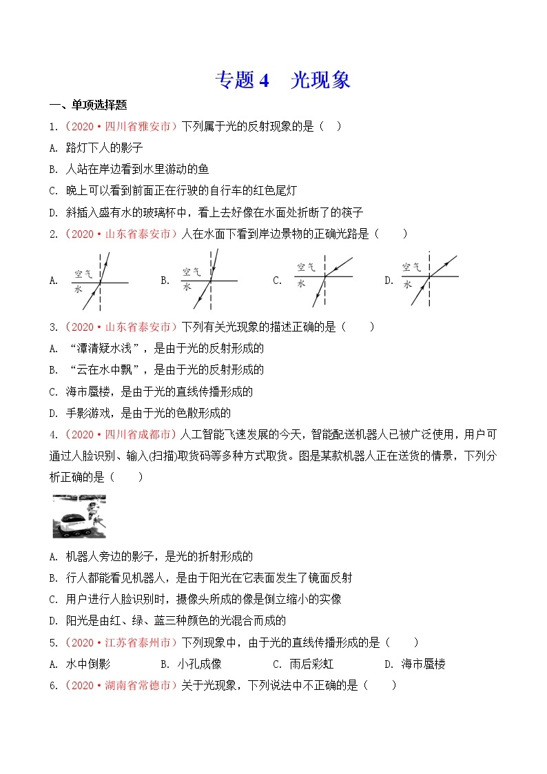 专题4  光现象-2020年中考物理真题分项汇编详细解答（全国通用）01期（学生版）01