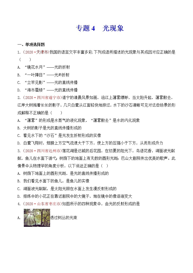 专题4  光现象-2020年中考物理真题分项汇编详细解答（全国通用）03期（学生版）01