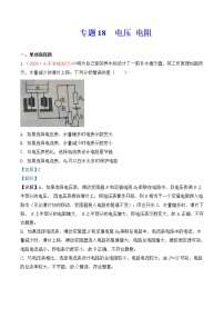 专题18  电压 电阻-2020年中考物理真题分项汇编详细解答（全国通用）03期（教师版）