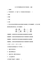 2021年中考物理复习重点知识专题训练——速度