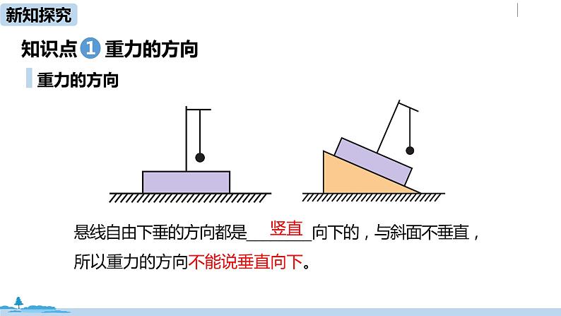 人教版八年级物理下册 7.3.2 重力(PPT课件+素材）04