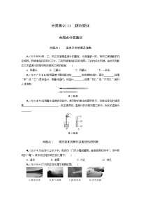 中考物理专题复习  分类集训11  物态变化(含解析)