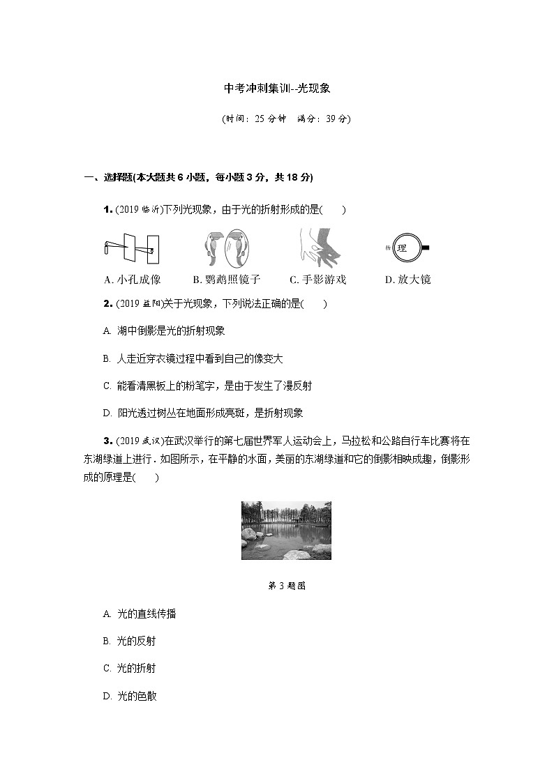 中考物理专题复习  中考冲刺集训--光现象(含解析)试卷01