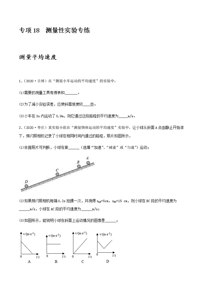 2021年中考物理专项突破题集 专项18  测量性实验专练（通用版）01