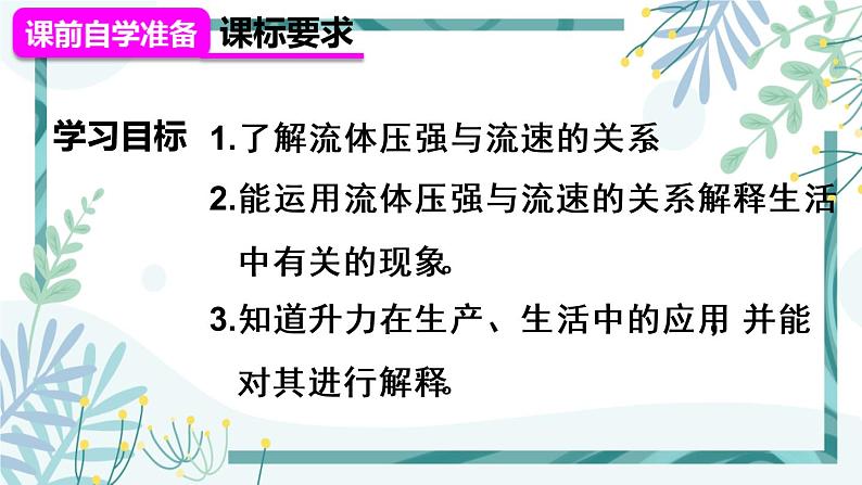 人教版八年级物理下册 第九章  第4节 流体压强与流速的关系 课件02