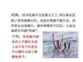 教科版八年級(jí)物理下冊(cè)課件：10.2.認(rèn)識(shí)浮力  課件
