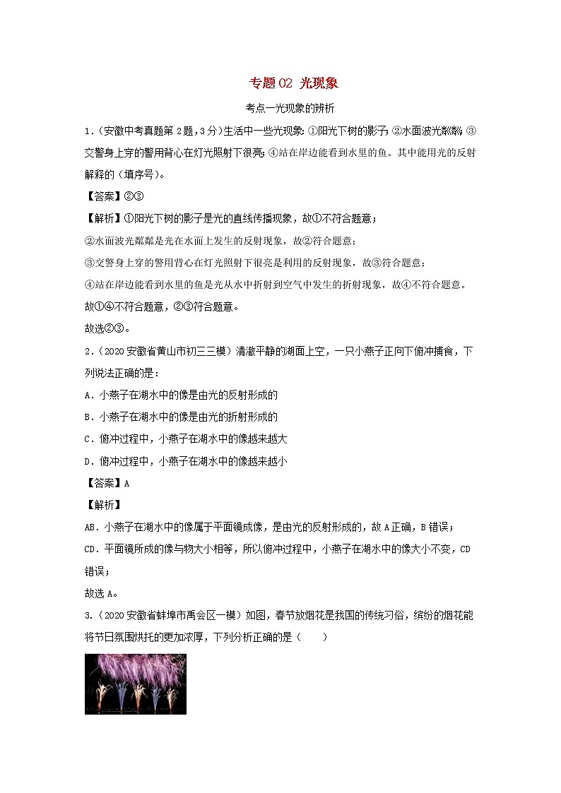 安徽专用备战2021中考物理精鸭点专项突破题集专题02光现象含解析01