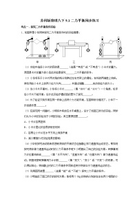 初中物理苏科版八年级下册二力平衡随堂练习题