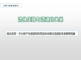 《流体压强与流速的关系》公开课一等奖课件