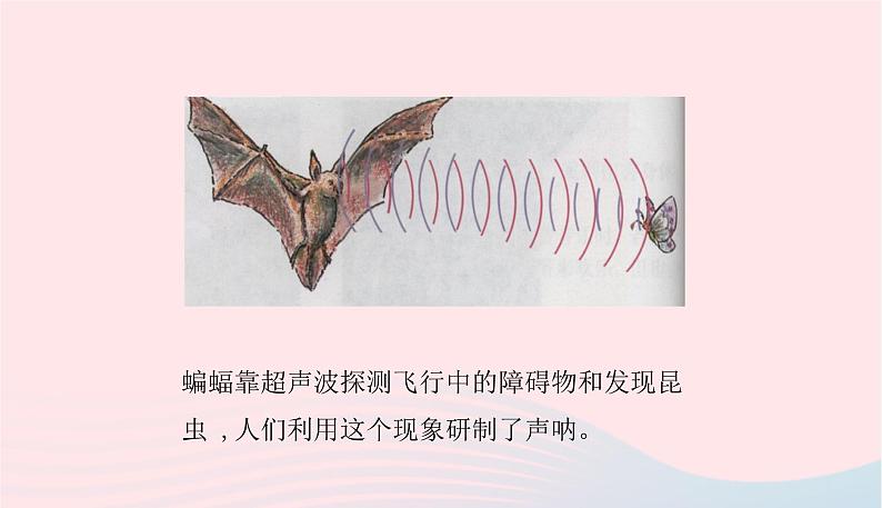 新人教版 八年级物理上册 第2章 声现象 2.3声音的利用 课件06